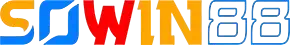 Sowin3